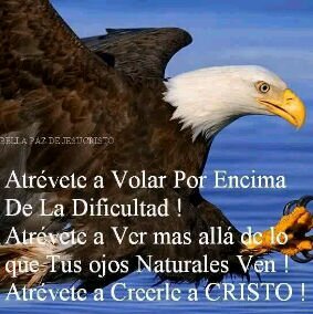 Amo y le creo a Dios. Oro para que Cristo sea el Señor de Venezuela y así sera el mejor país del mundo.