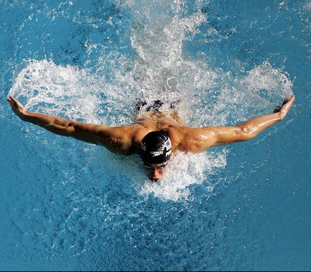 Swimmerdaily's profile picture. The pain is real