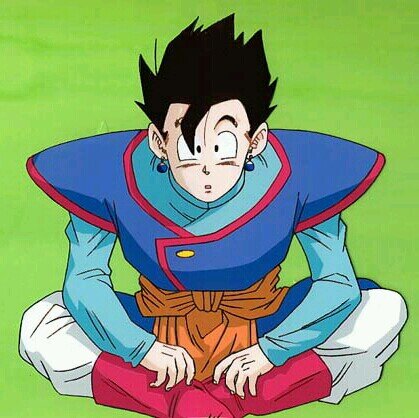 Hey, my name is Gohan! Son of Goku and Chichi, brother to Goten. I am all grown up now, to save the world from now. #Taken by @TheGirlyHeroine #DBZRP #Canon