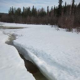 Ecologist, Alaskan