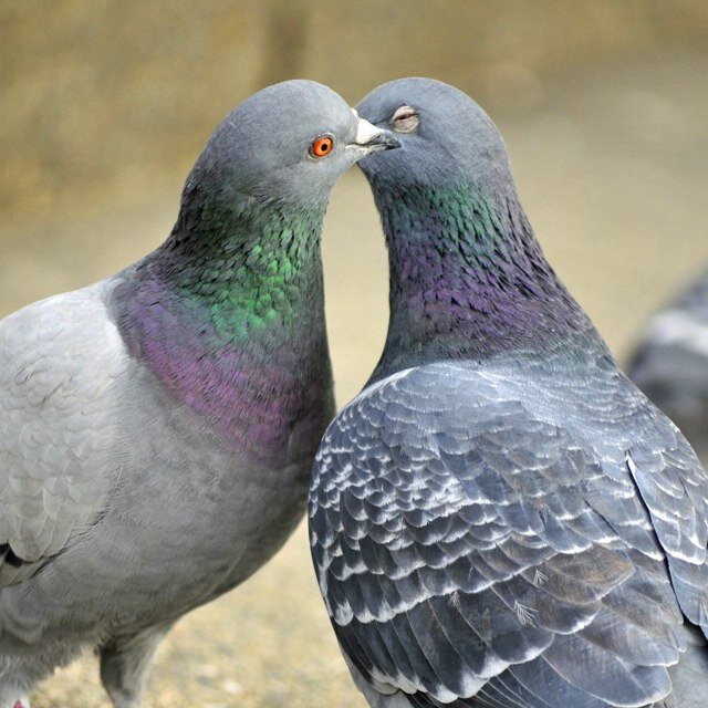 うんこしてなにが悪い。