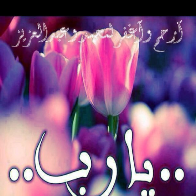 محمد وعبدالعزيز أسأل الله أن يرزقكم النعيم في جنات الخلد، لكم أخت توقن بأن الحب دعاء وأن يصلكم دعائي بكل سجود، و سَ تقدمه الملائكة لكم على طبق كي تهنى جميعاً ♡