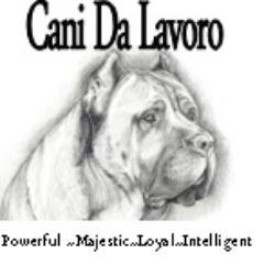 We are an authentic Cane Corso dog kennel specializing in breeding and training the best working dogs to be used for companionship, guardianship, and hunting.
