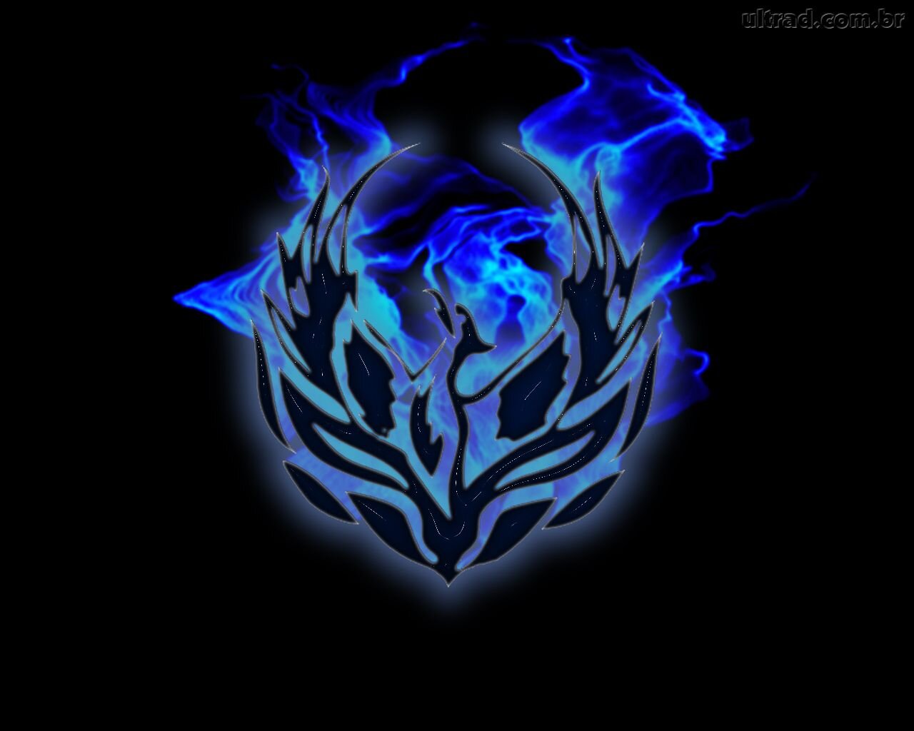 ¤ PotterHead , Meio-Sangue , Hunter , Navy , Gamer ¤