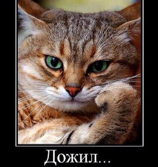 VLAKSENTEV's profile picture. 