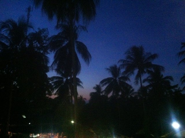 MelanieMacD404's profile picture. 