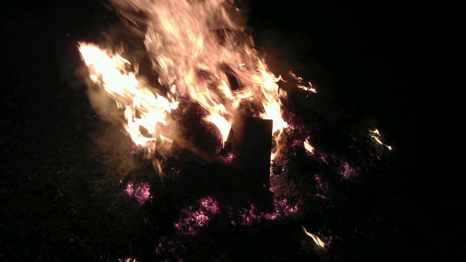 Lwood1974's profile picture. 