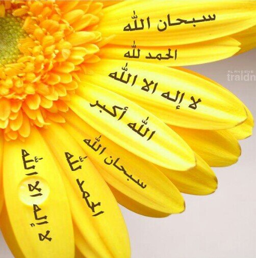 ♥سبحان الله وبحمده ♡ سبحان الله العظيم ♥
