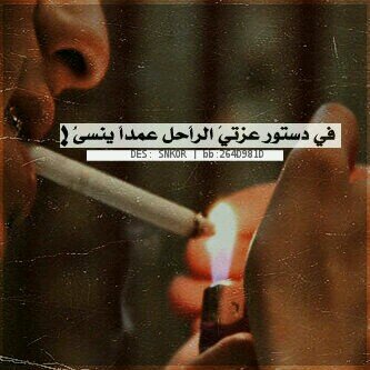 ‏‏‏
، ‏أجمل ما في الصدفة، إنها خالية من الإنتظار ‏❤ !
