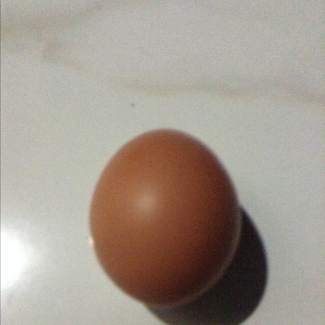 Bisa Fakta bisa Berita bisa Ngaco. Fakta paling tolol,ngaco, ngawur sedunia, ngetweet fakta ngaco✌️