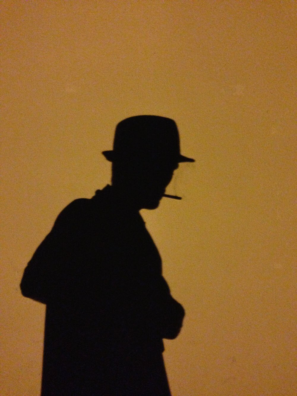 thegeckofeather's profile picture. 