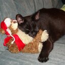 Nancy Anders - @hain_nancy - Twitter