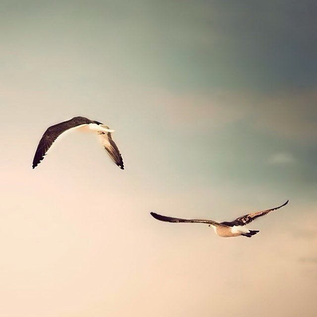 On a journey called Life!!