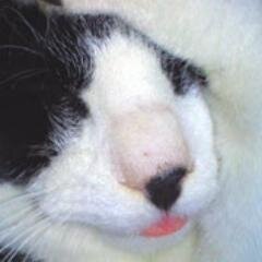 牧さんのプロフィール画像