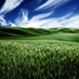 PrecisionAgriculture (@precisionagr) Twitter profile photo PrecisionAgriculture (@precisionagr) Twitter profile photo
