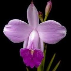 Umm wa Rabbatulbayt | General Practitioner