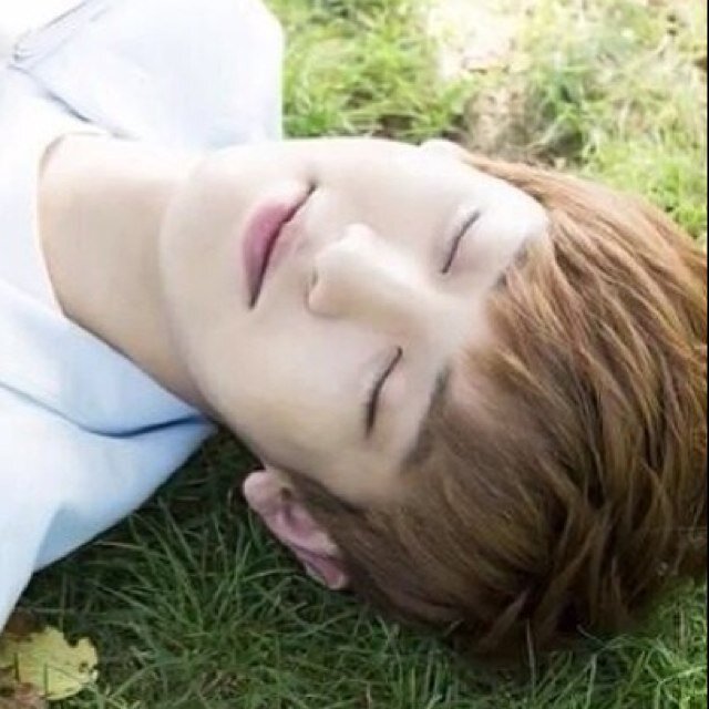 หยอยหนึ่งเรียกหยอยสอง มาฟอลคนหล่อ แอบรวย(แอบสวยด้วยนะ) แบบผม หุๆ น้องยอลลี่หยอยว์ รักทุกคนสุดใจ(ไต)~เอ๊ะๆ -.,- {แฝดที่รัก  @yeolly_yyy}.   ::9/12/13::
