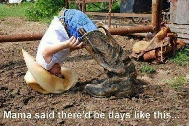 grizzdipking's profile picture. 