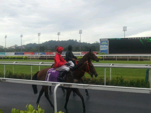 magic___12's profile picture. 