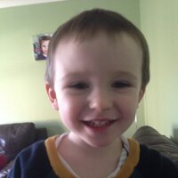 steven falls (@steven_falls) 's Twitter Profile