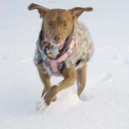 Codons70's profile picture. 