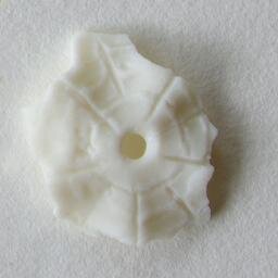 ingridboltonart's profile picture. Artist