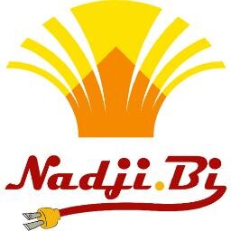 NadjiBiGroup Profile Picture