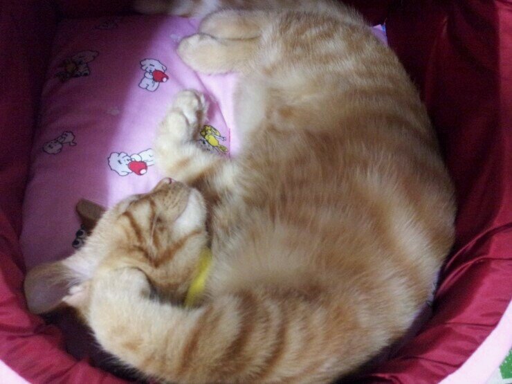 father_123's profile picture. 