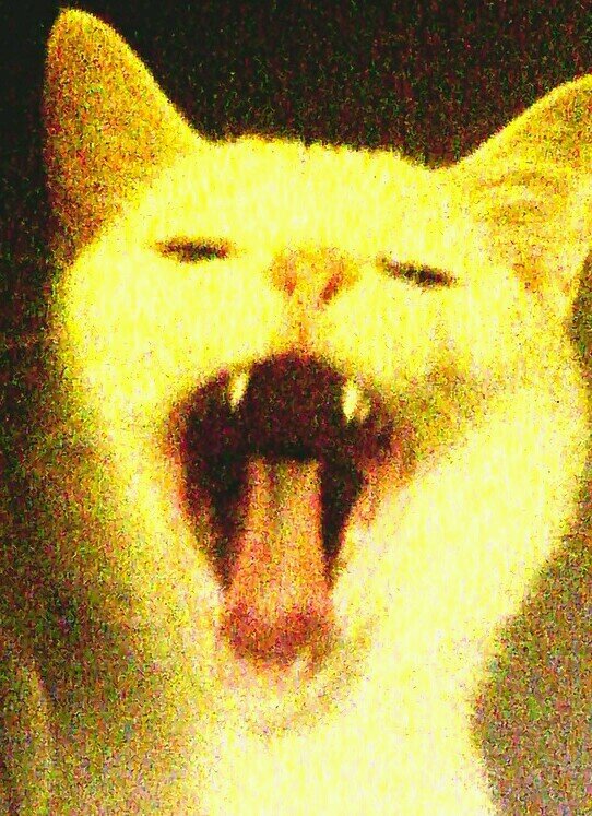 フリーでカメラマンしています。日々のふとした写メやら、撮った写真を紹介しています。良かったらみていってください。