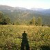 Christian Inzinger (@inz_io) Twitter profile photo Christian Inzinger (@inz_io) Twitter profile photo