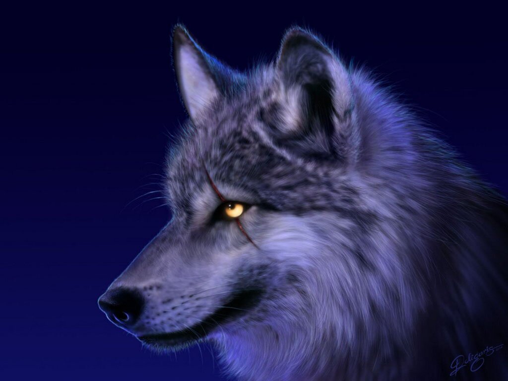 Deathwolf8's profile picture. Lord Death's dog