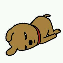 안함요