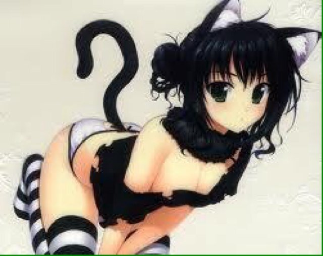 Hi I'm Kati! I'm a neko and I LOVE milk i can change my hair color #bonded to @vampking_lee #bi #polygamous Dating @Sorakeyblade123