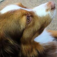 CraigDr8 (@craigdr8) 's Twitter Profile