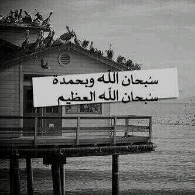 اللهم اجعل هذا الحساب صدقة جاريه لام نايف**ميثاء ال شعوان**