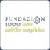 Fundación 1000 (@fundacion1000) Twitter profile photo