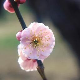 少額からでもFXで安定した生活したい              今の自分が未来の自分