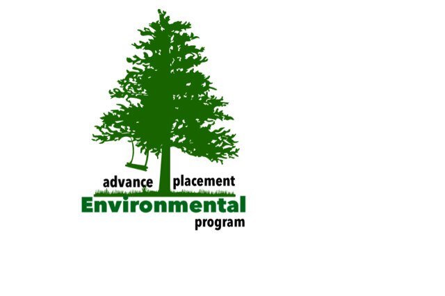 The grade 11 Advanced Placement Program at PDHS