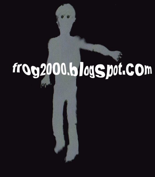 Félix Frog2000さんのプロフィール画像