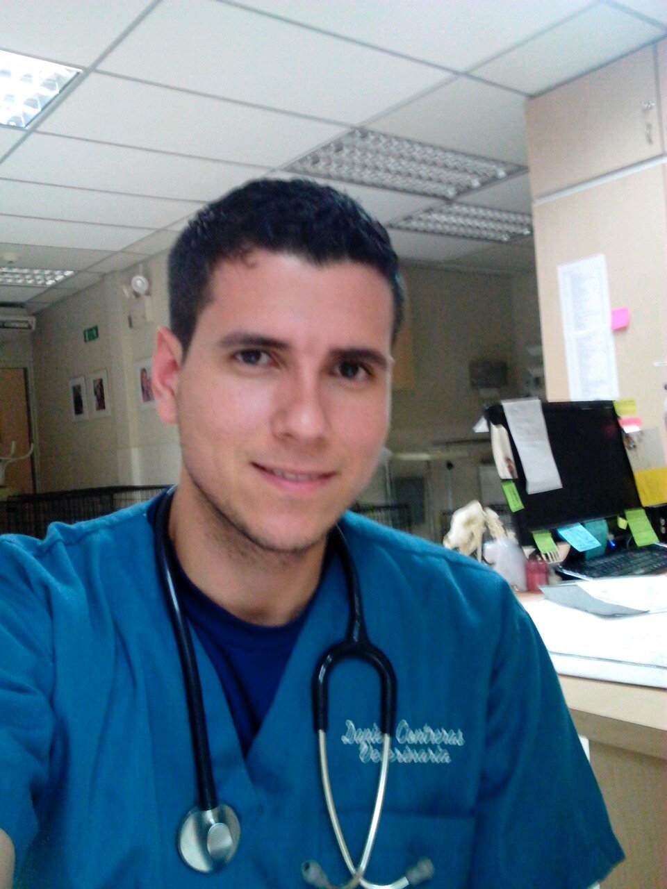 Medico Veterinario