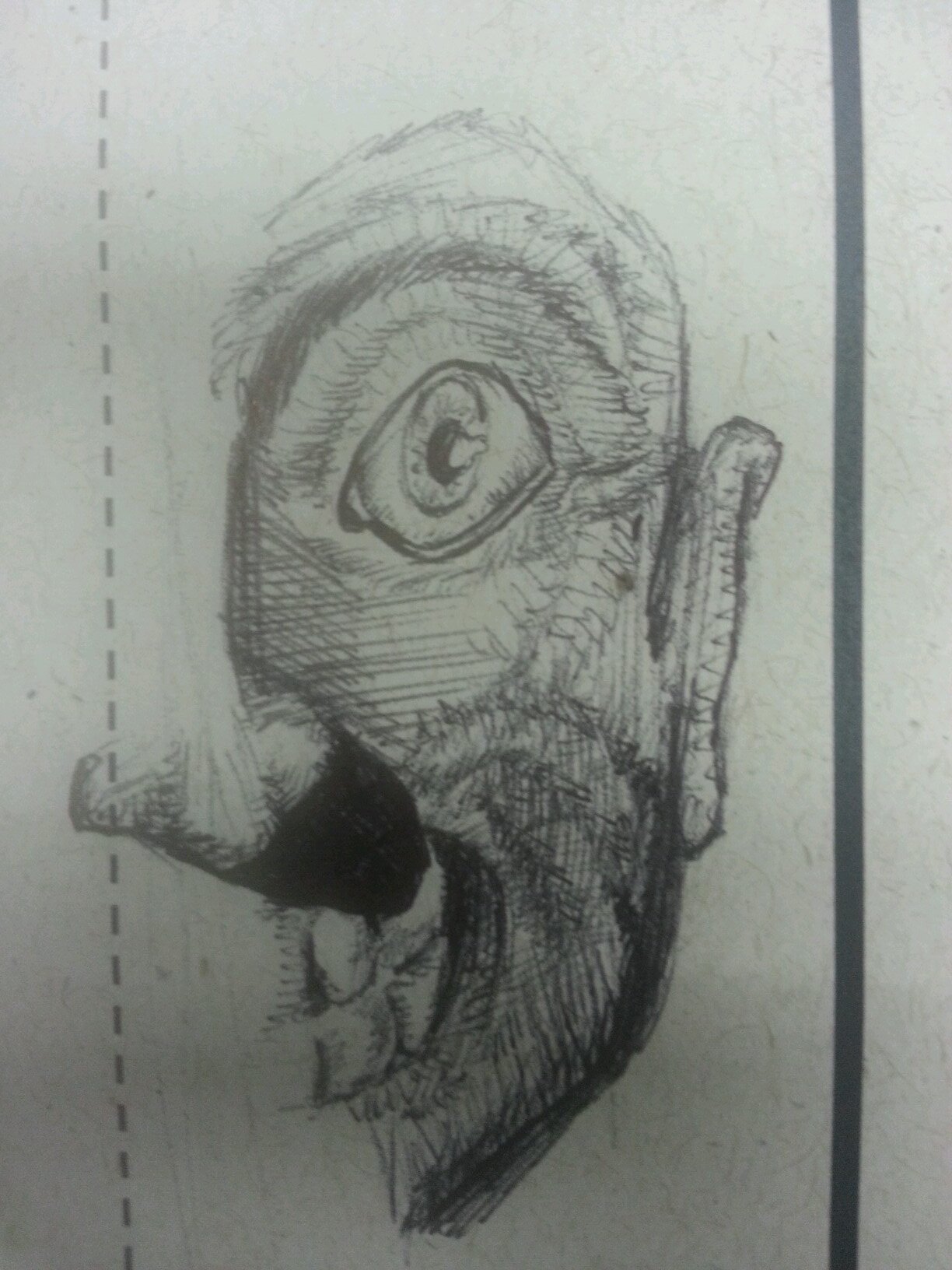 eduardolouvize Profile Picture