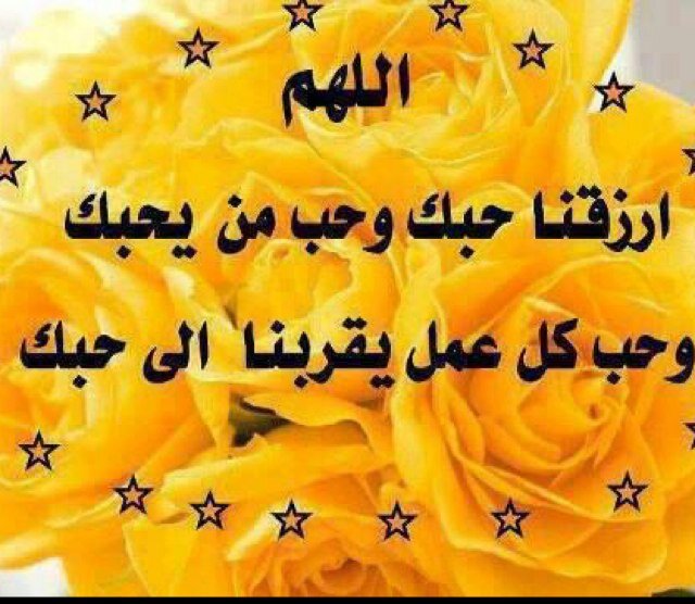 لايوجد