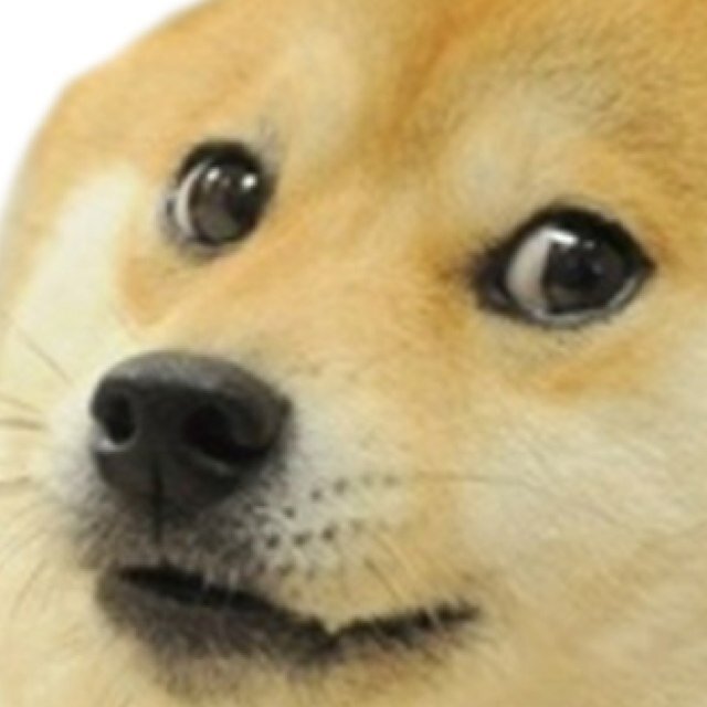 SargentCarter90's profile picture. 