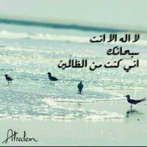يَارب آبعِدني عَن فئهٍ مِن خَلقكَ يُظهرونَ ليّ عفّتهم وَ فِ بَاطنُهم خبثٌ لاَ يَعلم بهِ سواك..          ححآئل~