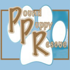 Pound Puppy Rescue is a 501(c)3 nonprofit founded in 2001. Our hope is that all puppies we place will never experience being homeless or unloved again.