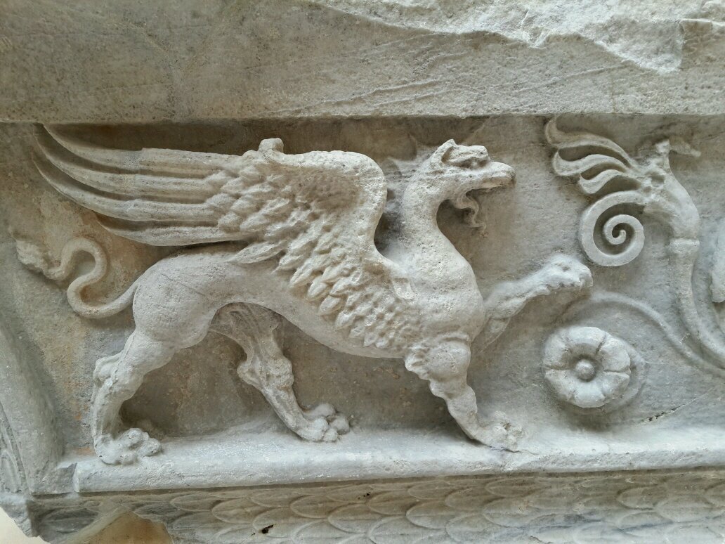 tabibhus's profile picture. 