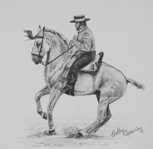 I love Caballos