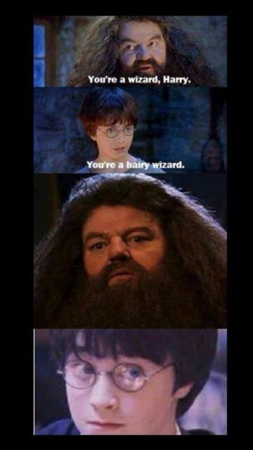 CiTVS's profile picture. 