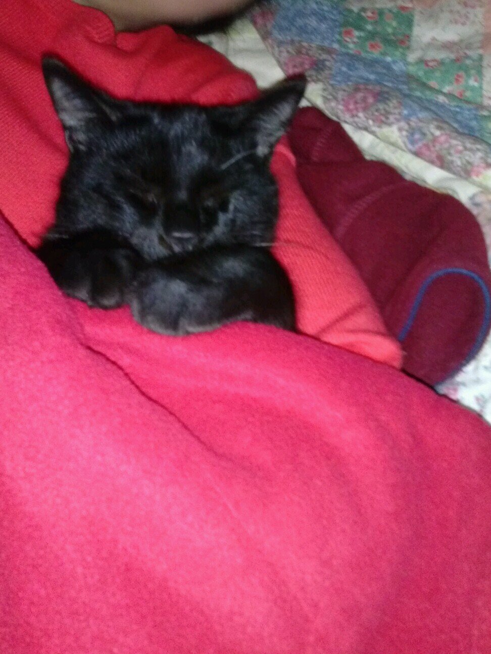 Miau.