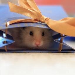 angel_seyma's profile picture. 